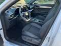 CUPRA Formentor 1.5 TSI DSG 110KW VOLL-LED, PANO, Beats, ACC Weiß - thumbnail 9