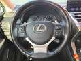 Lexus NX 300 300h Business Navigation 2WD Negro - thumbnail 12