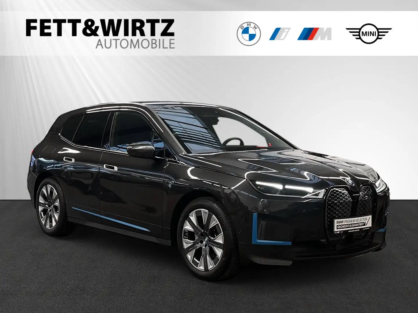 BMW iX xDrive50 DAProf.|Harman/Kardon|LCProf. Gris - 1