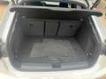 Audi RS3 SPB TFSI quattro S tronic - Italiana Wit - thumbnail 19