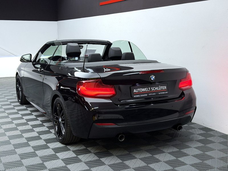 BMW 240 xDrive Cabrio *H/K*Carbon*DAB*RFK*SHZ* — photo 4