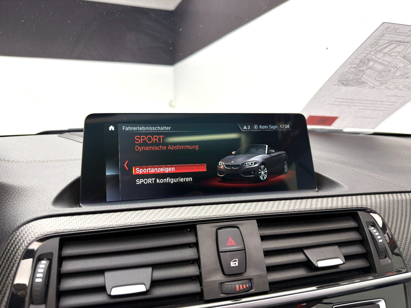 BMW 240 xDrive Cabrio *H/K*Carbon*DAB*RFK*SHZ* — photo 14