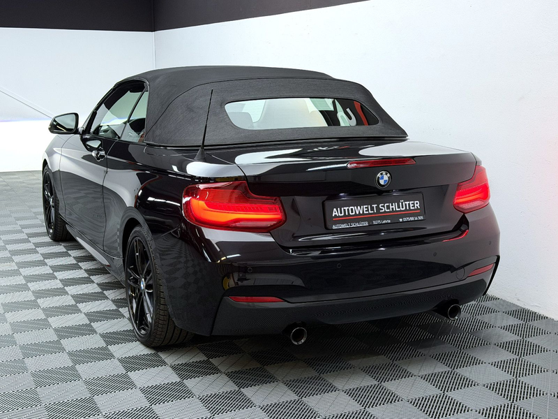 BMW 240 xDrive Cabrio *H/K*Carbon*DAB*RFK*SHZ* — photo 5