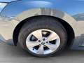 Skoda Octavia Combi 2,0 TDI Business DSG ''8fach bereift'' Grau - thumbnail 9
