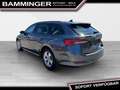 Skoda Octavia Combi 2,0 TDI Business DSG ''8fach bereift'' Grau - thumbnail 7