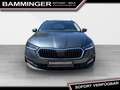 Skoda Octavia Combi 2,0 TDI Business DSG ''8fach bereift'' Grau - thumbnail 3