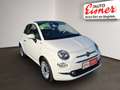 Fiat 500 FIREFLY HYBRID DOLCEVITA70 - thumbnail 19