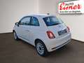 Fiat 500 FIREFLY HYBRID DOLCEVITA70 - thumbnail 12