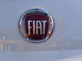Fiat 500 FIREFLY HYBRID DOLCEVITA70 - thumbnail 24