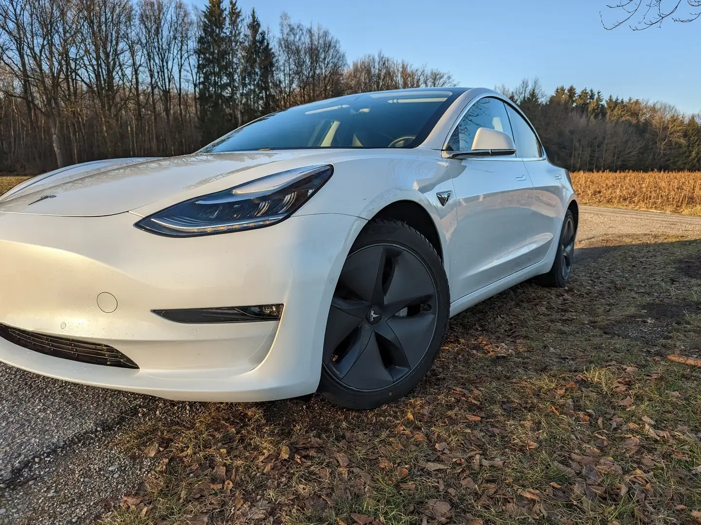 Tesla Model 3 Long Range AWD 75kWh Weiß - 1
