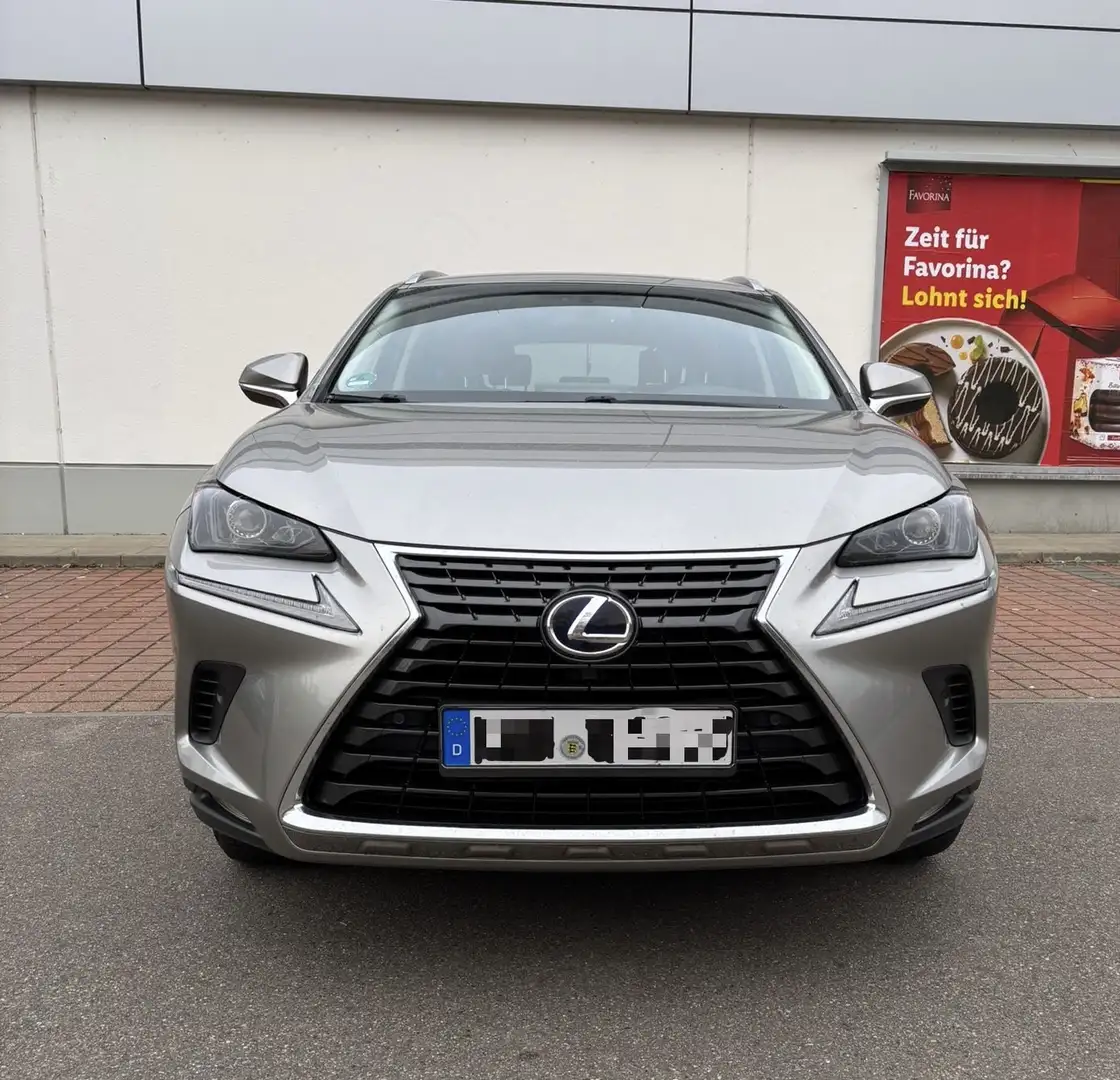Lexus NX 350h - 1