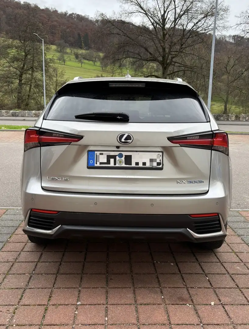 Lexus NX 350h - 2