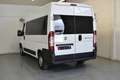 Fiat Ducato Combi 30 2.2Mjt Corto - thumbnail 4