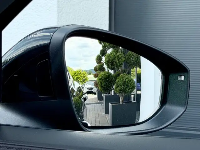 Volkswagen Passat view 14