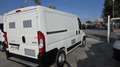 Fiat Ducato L1H1 2.2 MJT 120CV EURO 6D -2021 Blanc - thumbnail 5