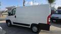 Fiat Ducato L1H1 2.2 MJT 120CV EURO 6D -2021 Blanc - thumbnail 3