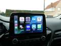 Ford Fiesta 5d 1.1 i benzine 85pk Trend luxe '19 (49701) Bleu - thumbnail 19