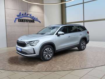 1.5TSI mHEV Navi/Kamera/LED/el.Klappe/Kessy   **