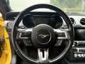 Ford Mustang Basis GELB*KAMERA*KEYLESS*SHZ*BELÜFTUNG Gelb - thumbnail 16