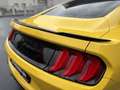 Ford Mustang Basis GELB*KAMERA*KEYLESS*SHZ*BELÜFTUNG Gelb - thumbnail 9