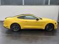 Ford Mustang Basis GELB*KAMERA*KEYLESS*SHZ*BELÜFTUNG Gelb - thumbnail 10