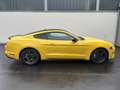 Ford Mustang Basis GELB*KAMERA*KEYLESS*SHZ*BELÜFTUNG Gelb - thumbnail 5