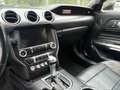 Ford Mustang Basis GELB*KAMERA*KEYLESS*SHZ*BELÜFTUNG Gelb - thumbnail 14