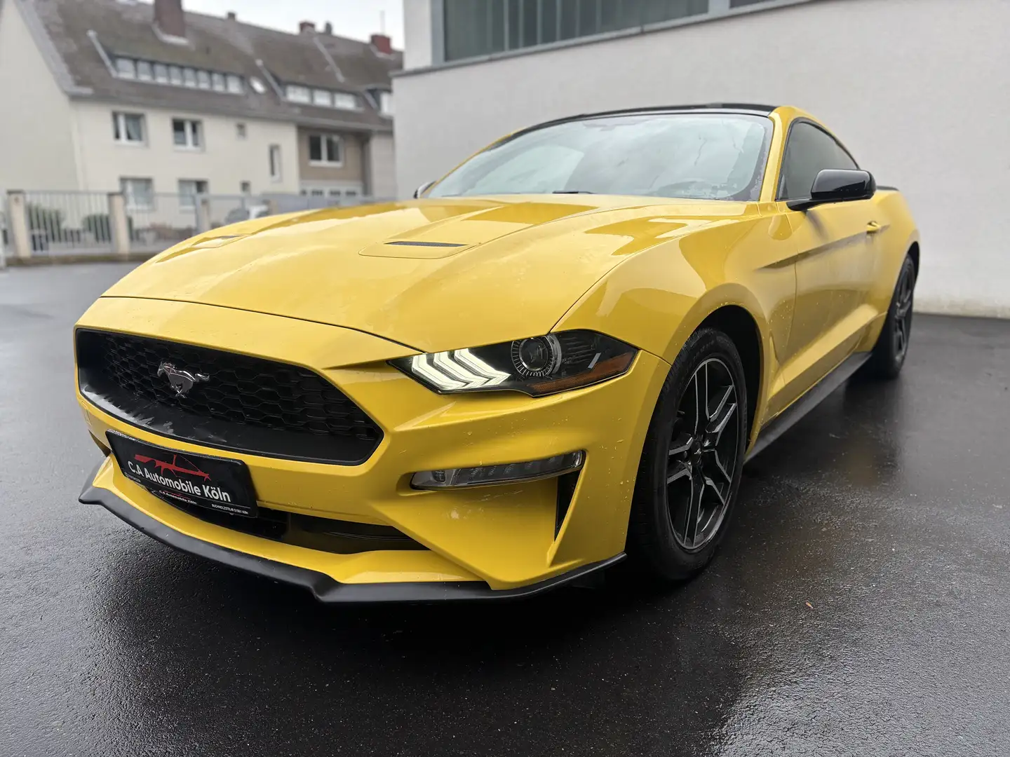 Ford Mustang Basis GELB*KAMERA*KEYLESS*SHZ*BELÜFTUNG Gelb - 1