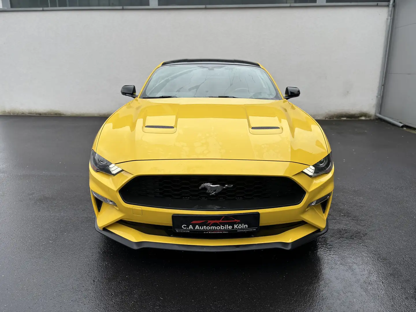 Ford Mustang Basis GELB*KAMERA*KEYLESS*SHZ*BELÜFTUNG Gelb - 2