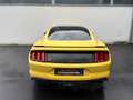 Ford Mustang Basis GELB*KAMERA*KEYLESS*SHZ*BELÜFTUNG Gelb - thumbnail 6