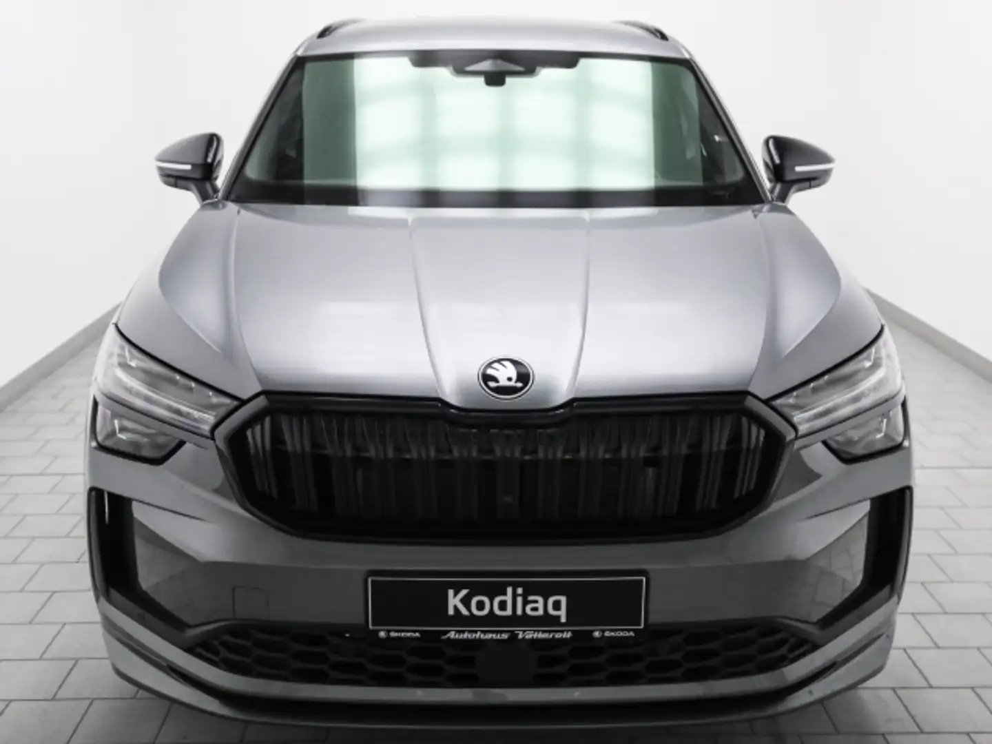 Skoda Kodiaq 1.5 TSI iV Sportline AHK Navi Matrix-LED Grau - 2