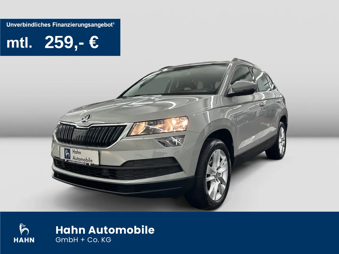 Skoda Karoq 1.0TSI Ambition Tempo Einparkh Climatr Gris - 1