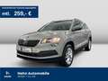 Skoda Karoq 1.0TSI Ambition Tempo Einparkh Climatr Grau - thumbnail 1