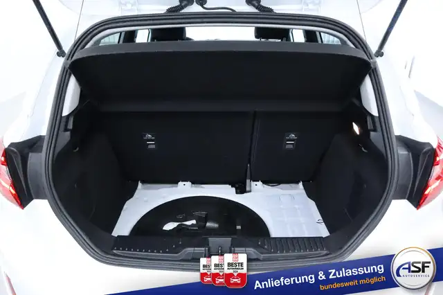 Ford Fiesta view 12
