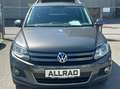 Volkswagen Tiguan Tiguan 2,0 TDI BMT 4Motion Sky DPF Sky Grau - thumbnail 2