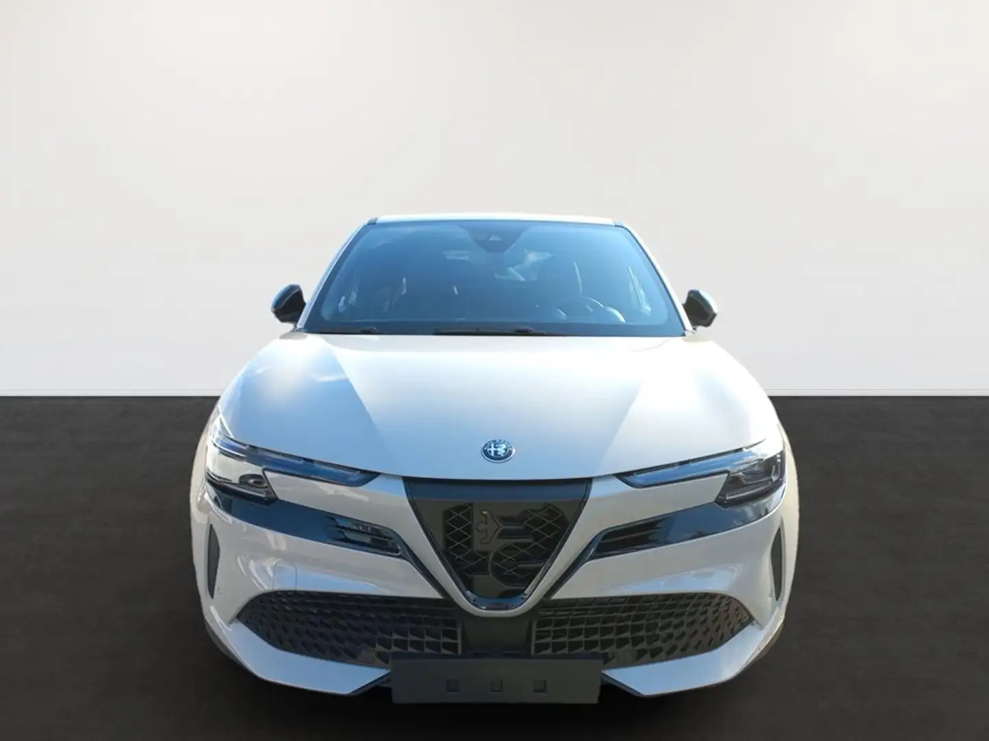Alfa Romeo Junior Elettrica Speciale - 2