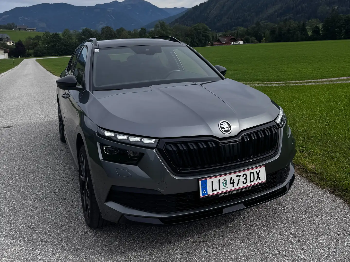 Skoda Kamiq Kamiq 1,0 TSI Monte Carlo DSG Monte Carlo Grau - 2