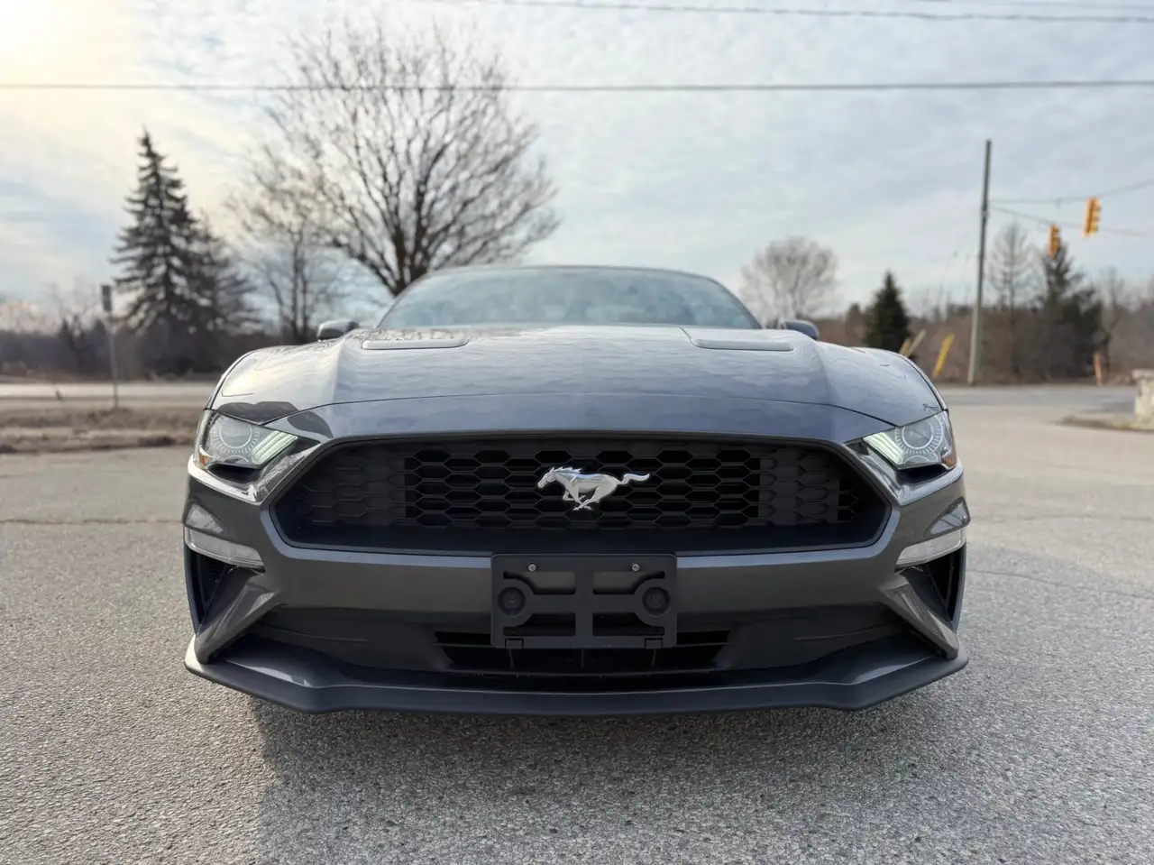 Ford Mustang снимка Ford Mustang