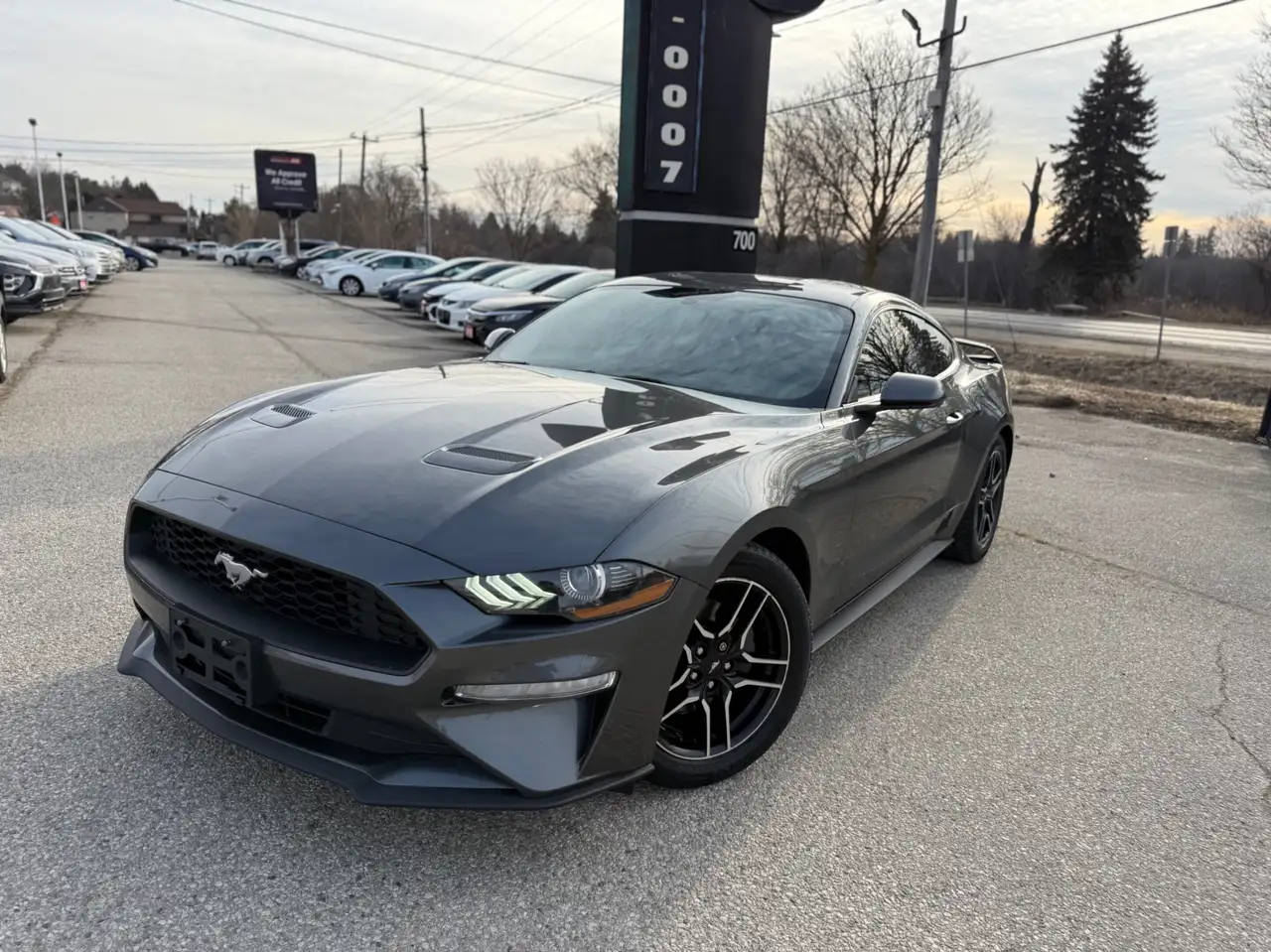 Ford Mustang снимка Ford Mustang