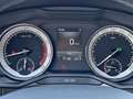 Skoda Superb Kombi 2,0 TSI 4x4 Style DSG *AHK, Matrix LED, K... Braun - thumbnail 14