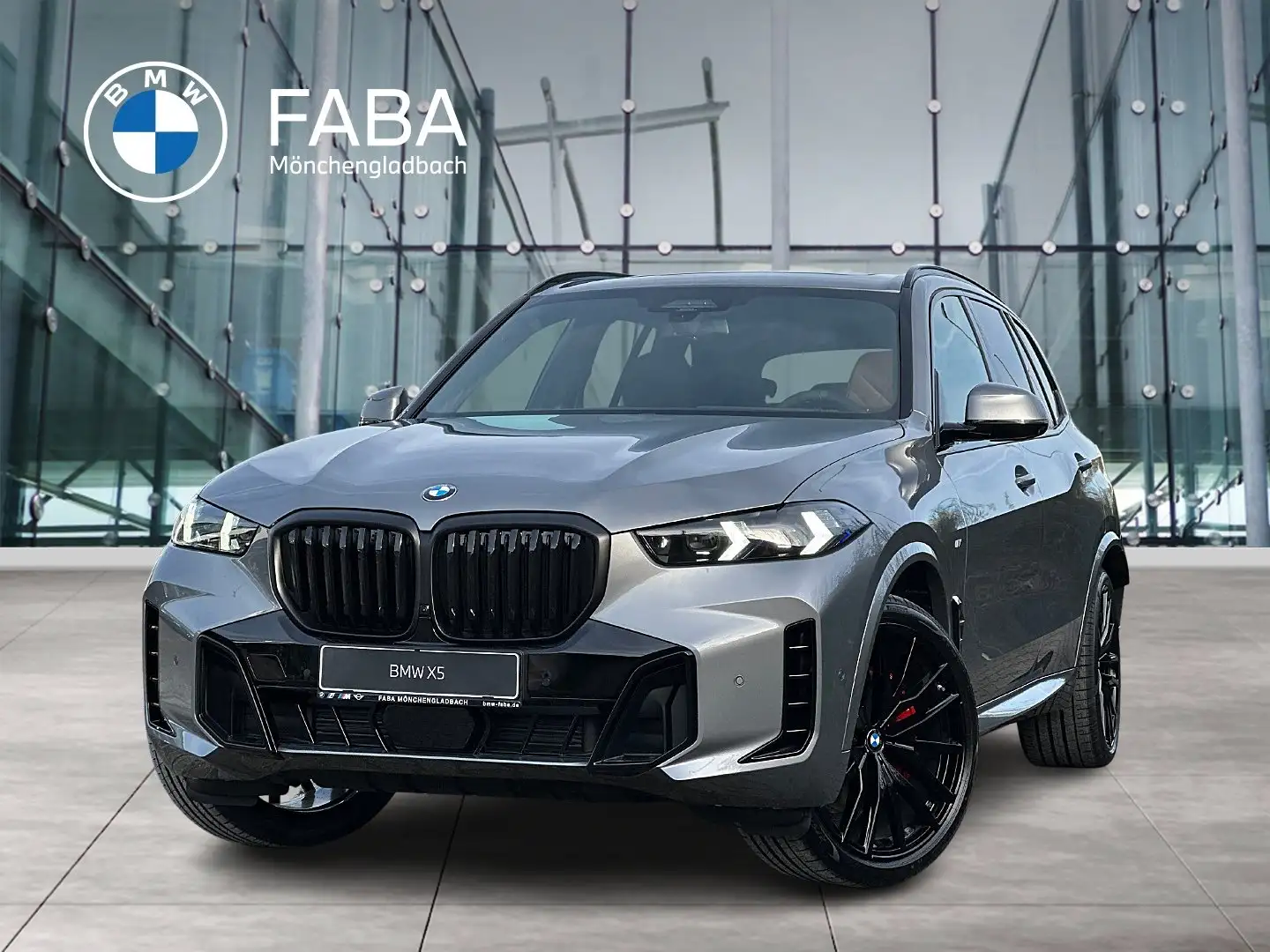 BMW X5 xDrive30d M Sportpaket HK HiFi DAB LED Grau - 1