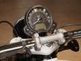 Triumph Speedmaster sofort verfügbar Wit - thumbnail 9