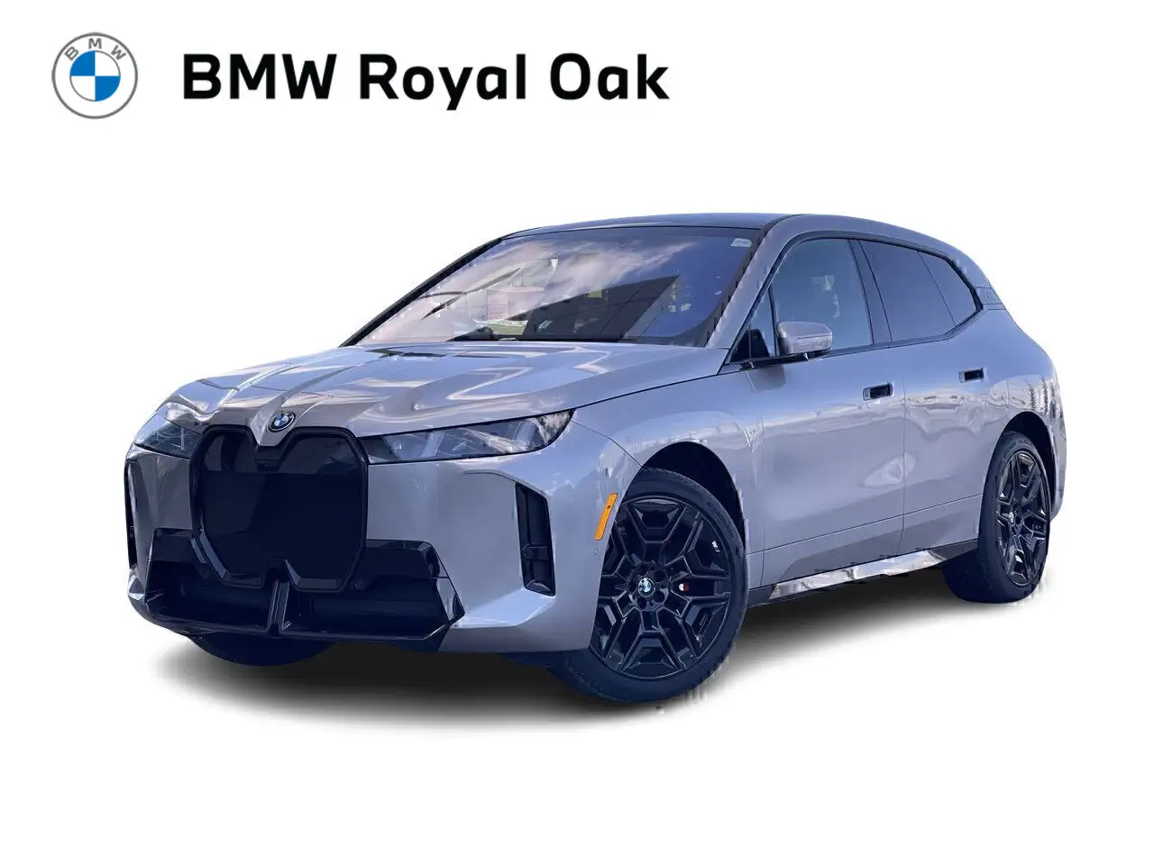 2026 BMW iX