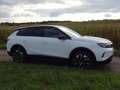 Opel Grandland 1.2 48V Mild-Hybrid 100 kW GS Weiß - thumbnail 7
