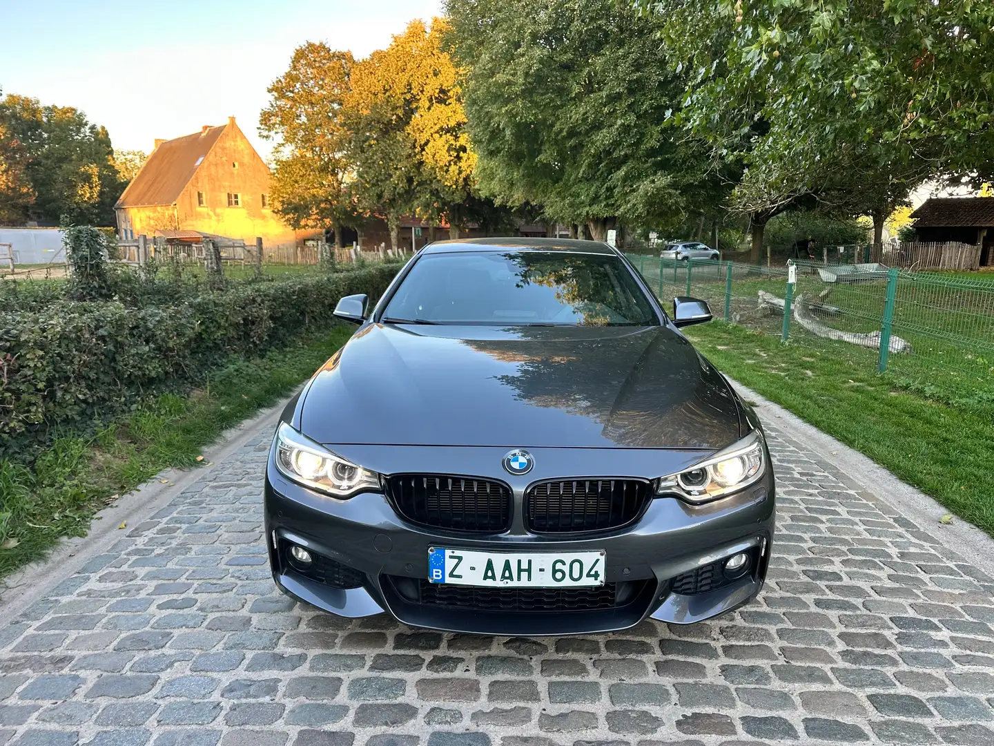 BMW 420 Coupé 420 dAS *** PACK M *** Grau - 2