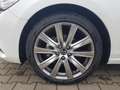 Mazda 6 2.0L SKYACTIV G 165ps 6MT FWD EXCLUSIVE- White - thumbnail 15