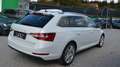 Skoda Superb Superb Kombi 2,0 TDI DSG LED VIRTUAL ACC 1.Besitz Weiß - thumbnail 4