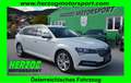 Skoda Superb Superb Kombi 2,0 TDI DSG LED VIRTUAL ACC 1.Besitz Weiß - thumbnail 1