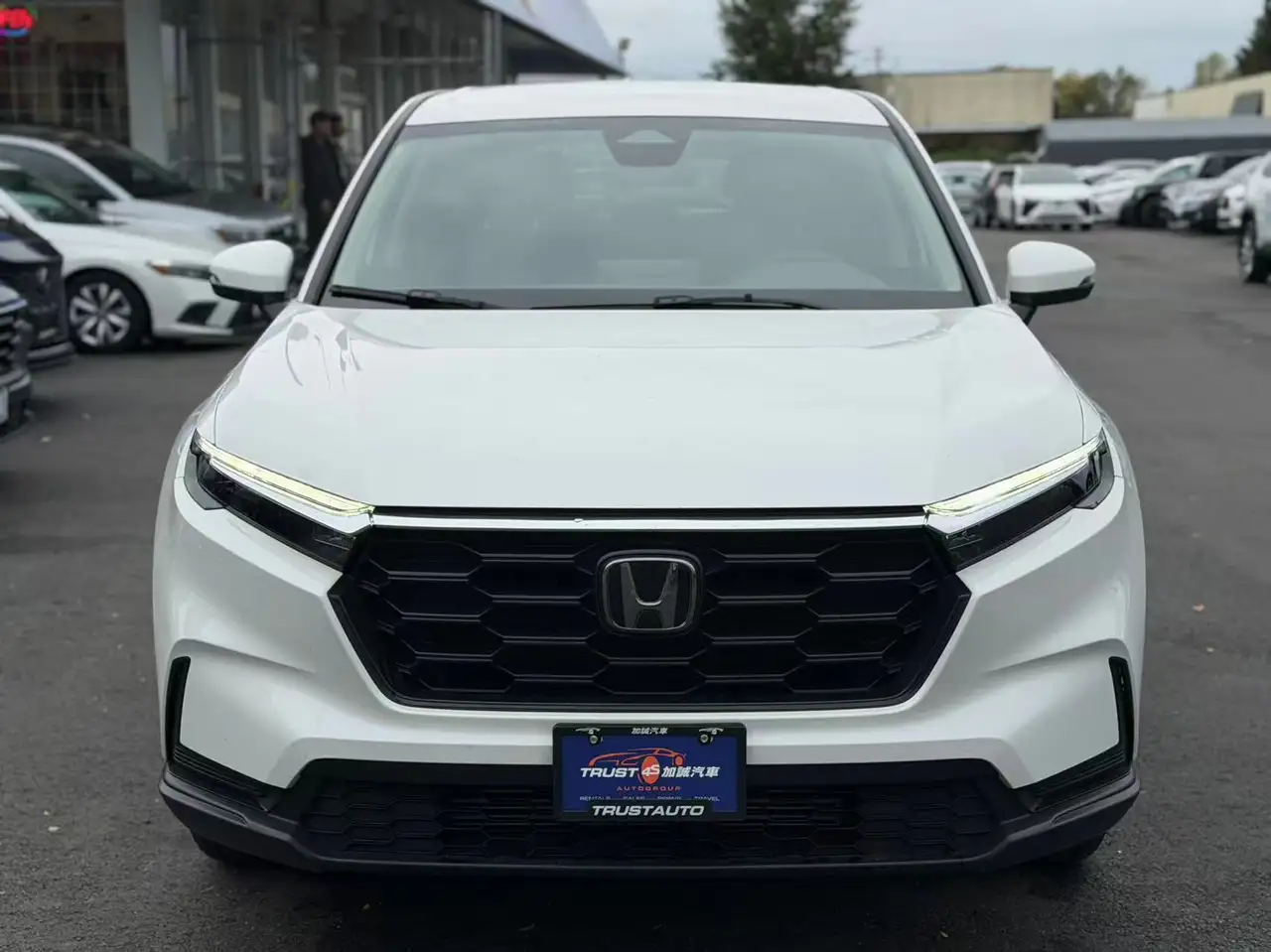 Honda CR-V снимка Honda CR-V