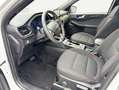 Ford Kuga 2.5 Duratec PHEV ST-LINE Weiß - thumbnail 7